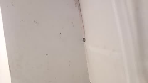 tall6feet7inch online show from December 18, 7:37 am