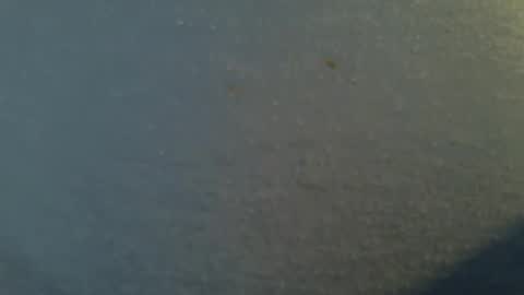 tallwxguy online show from May 22, 6:13 pm