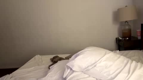 Tennman online show from February 4, 2:43 pm