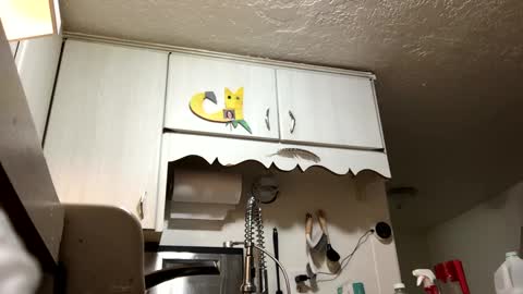 Axle online show from December 29, 12:52 am