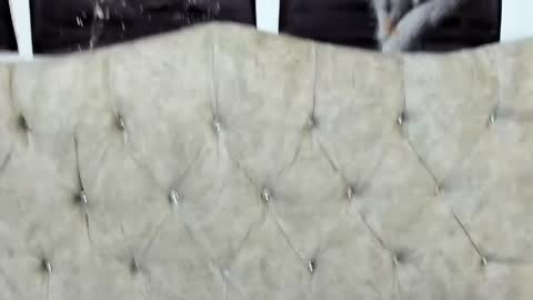 terrygrace online show from April 14, 8:30 pm