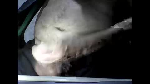 thataco online show from April 14, 2:55 am