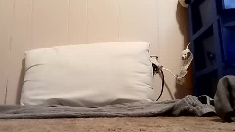 thatb1 online show from October 30, 11:44 am