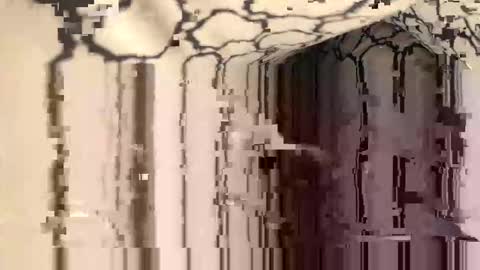 therighty online show from January 17, 9:45 am