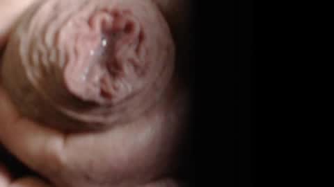 threephase323 online show from April 18, 6:31 pm