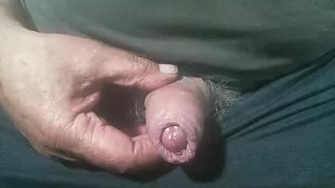 tiger1181 online show from September 13, 4:35 am