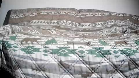 Casey online show from December 13, 2:49 pm