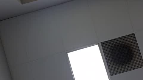 Vols online show from January 17, 11:38 am