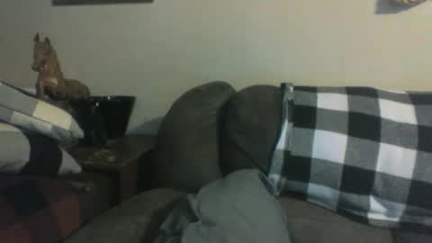 Vols online show from January 31, 10:42 pm