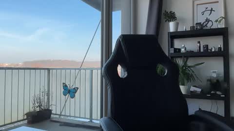 Thomas Fit online show from November 28, 8:38 am