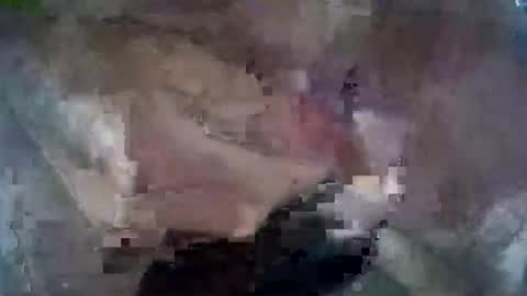 toranaman77 online show from September 25, 9:24 pm