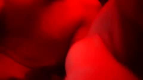 tretrix5588 online show from February 8, 9:03 am