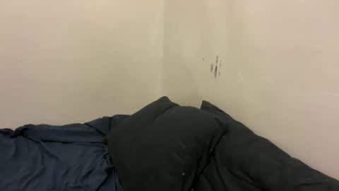 Bran online show from March 12, 11:40 am