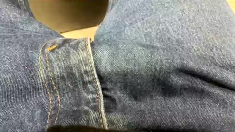 usabound online show from November 20, 1:05 am