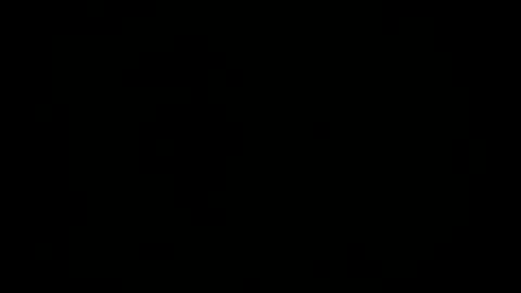 vertimatar online show from January 29, 11:30 am