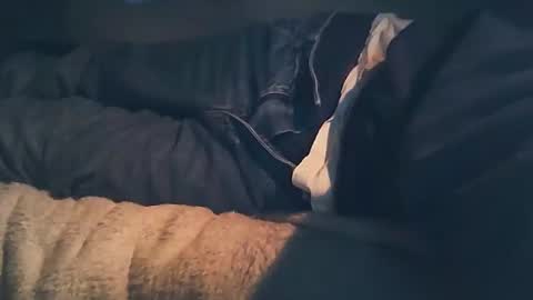 vicvictoree online show from November 12, 6:52 am