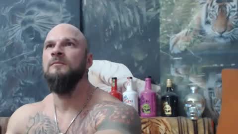 viking online show from November 4, 8:43 pm