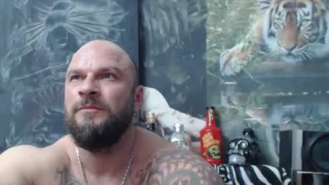 viking online show from April 16, 6:41 pm