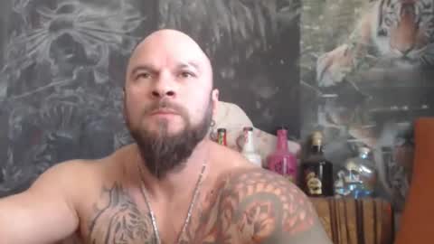 viking online show from December 19, 7:38 am