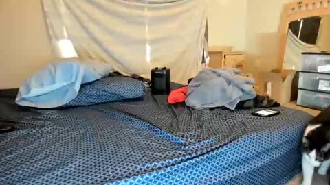 Virgowithabig online show from November 3, 5:26 pm