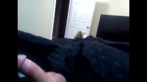 vladedivac1998 online show from October 12, 5:12 am