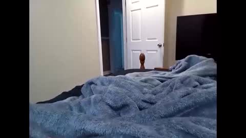 vladedivac1998 online show from March 31, 6:20 pm