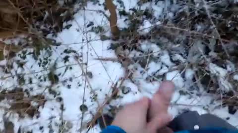 mcfly online show from February 19, 4:22 pm