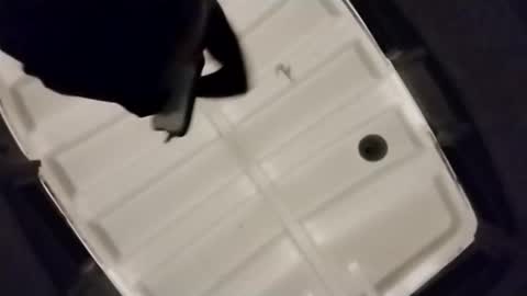 waffywaff77 online show from December 4, 1:07 pm