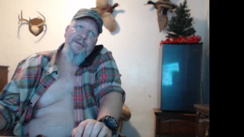 walkingbird online show from December 26, 9:47 pm