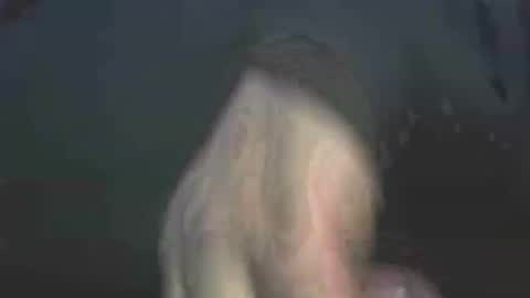 waross11 online show from January 31, 7:08 pm