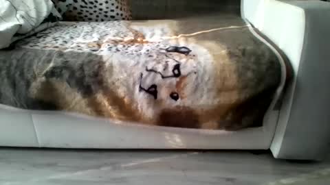 warszawa4321 online show from November 13, 9:47 am