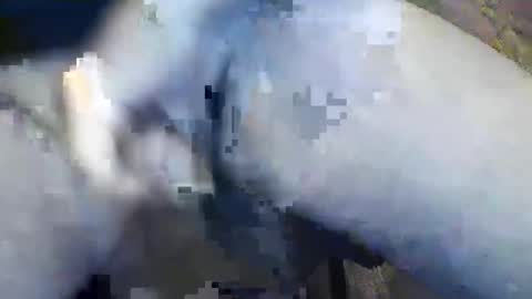 wayne1311 online show from March 6, 1:37 am