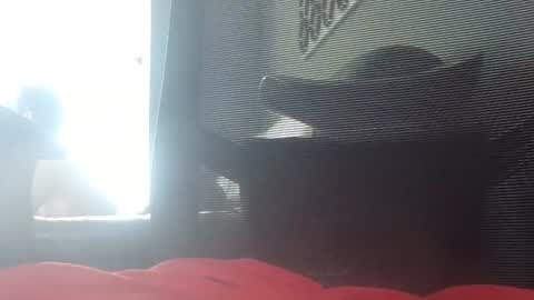 Wetbigdickstream online show from June 15, 11:46 am
