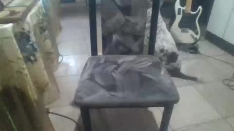 wg_colbert_noir online show from October 17, 7:51 pm