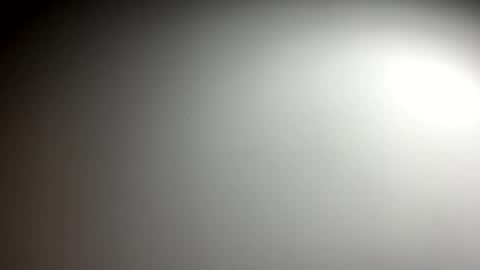 whitegoldigger online show from December 15, 10:56 am