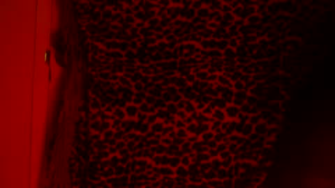 whor4mor online show from January 7, 12:59 pm