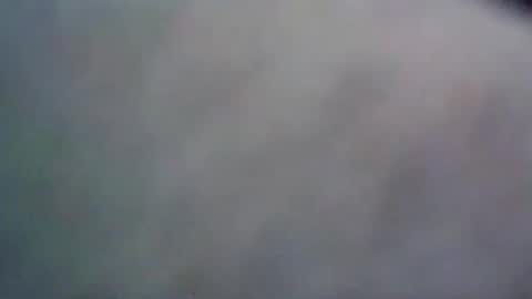 wildbrdick online show from June 9, 11:01 am