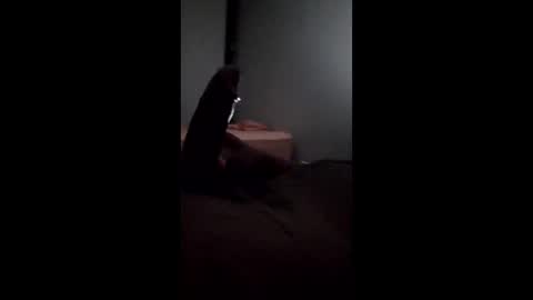 wilkin02 online show from March 24, 6:29 am