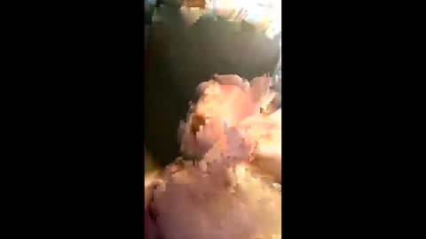 willdigi1 online show from March 18, 3:31 am