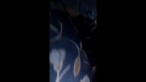 wolf00471 online show from January 7, 6:07 am