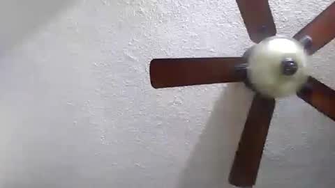 wolf69alfa1 online show from December 5, 8:55 am