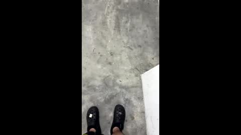 wvpppp online show from January 14, 9:14 am