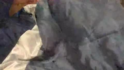 yungin470 online show from February 27, 8:52 pm