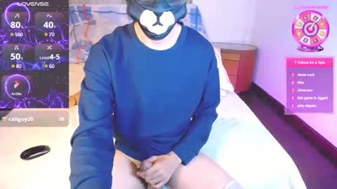 the puppy boy online show from January 25, 3:40 am