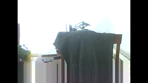 Yuumi online show from February 4, 5:45 pm