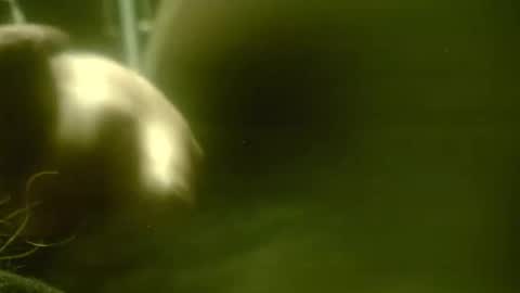 zaboski4 online show from February 9, 9:47 am