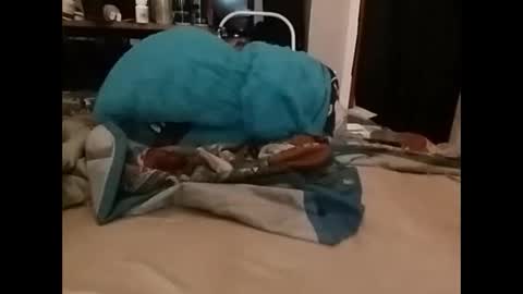 zero online show from December 14, 3:36 pm