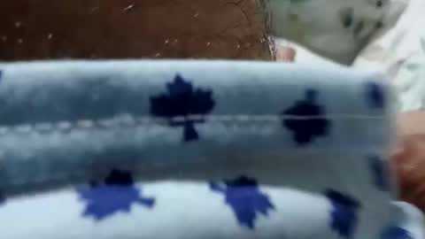 zitojose73 online show from February 15, 12:06 am