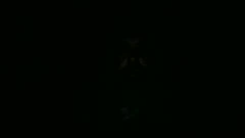 zozzzie online show from February 25, 3:13 pm