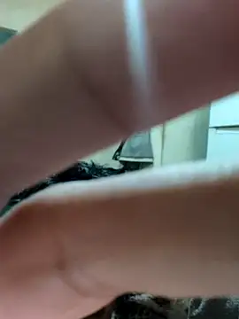 khema99 online show from January 12, 10:03 pm